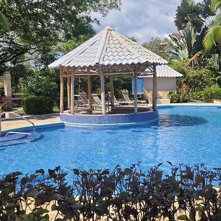 Apartament Tropical Bliss Pool Wi-Fi Bbq Near Quepos Manuel Antonio Zewnętrze zdjęcie