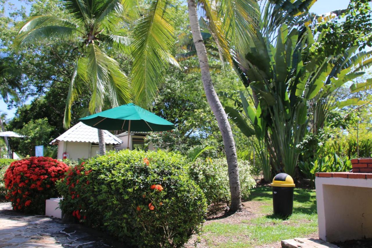 Apartament Tropical Bliss Pool Wi-Fi Bbq Near Quepos Manuel Antonio Zewnętrze zdjęcie
